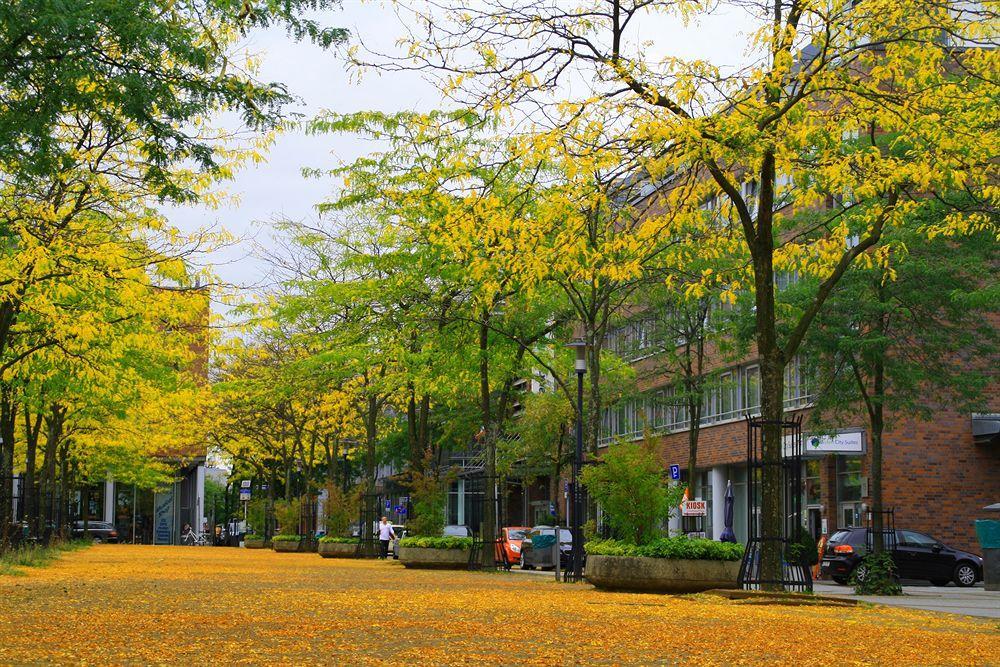 Essen City Suites Buitenkant foto